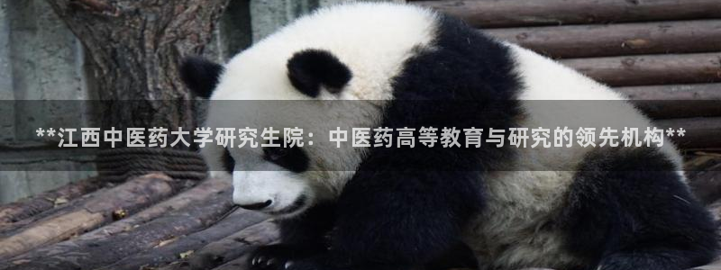 九游J9官网登录入口