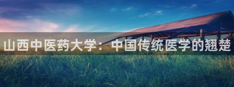 九游会ag官方平台