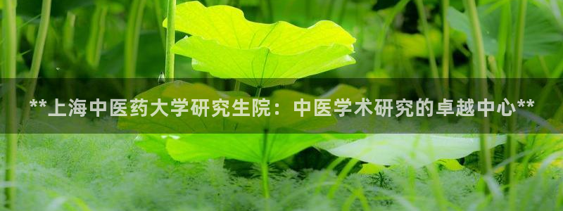 ag九游会老哥