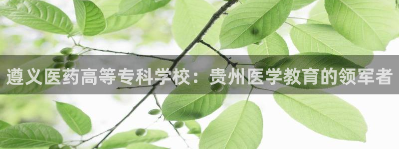 九游会ag老哥俱乐部入口