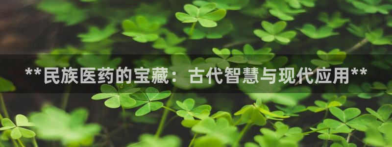 九游j9会