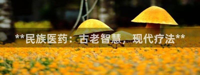 九游会登录网站