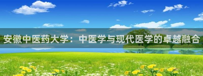 ag改名九游会