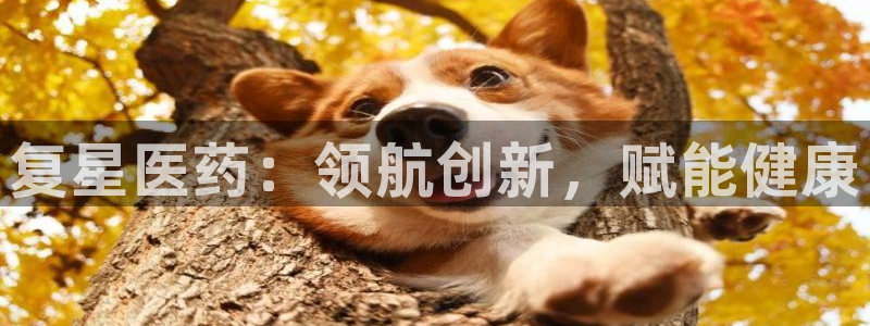 9游会老哥