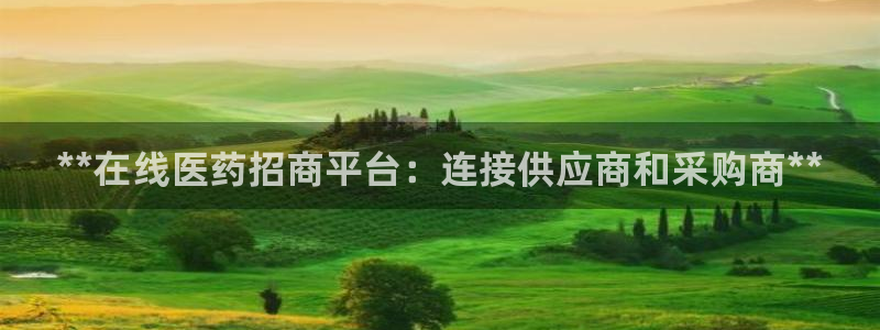 j9九游会买u多少一个