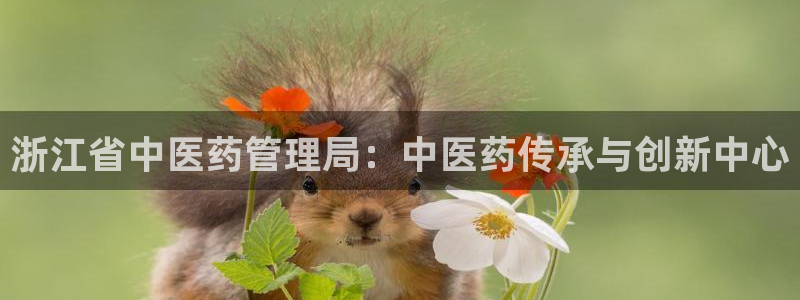 ag九游会登录j9入口