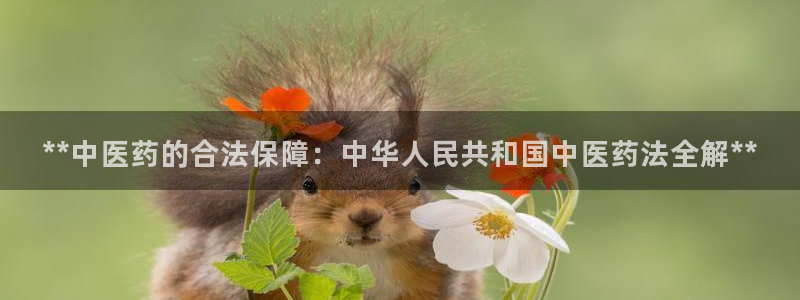 九游会官网登录中心入口