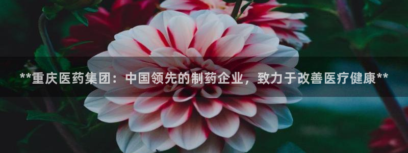 九游会平台网站