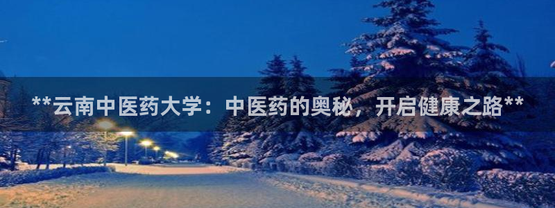 九游会j9