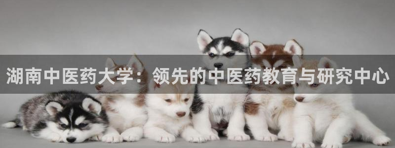 ag九游会官网网址