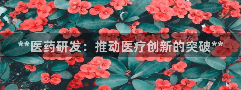 九游会ag官方平台
