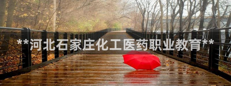 ag改九游会