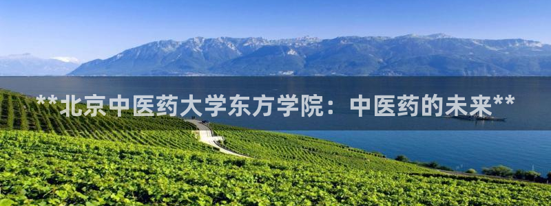 九游会官方视讯