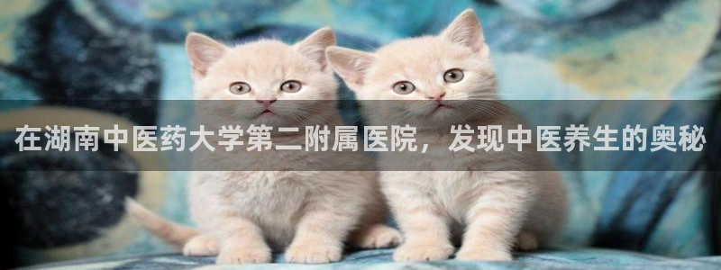 九游会吧