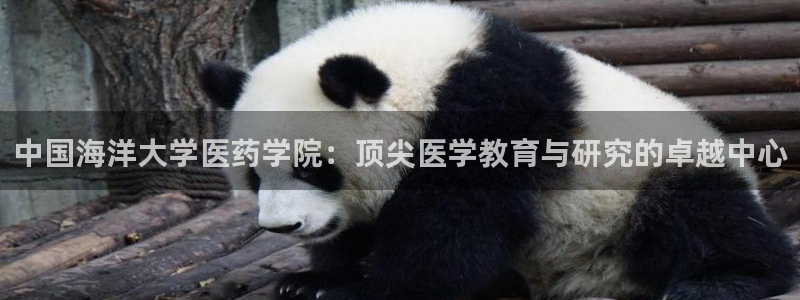 九游会ag官方平台
