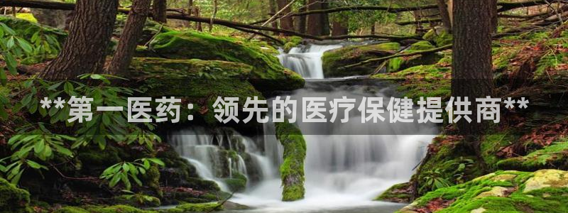 ag改名九游会
