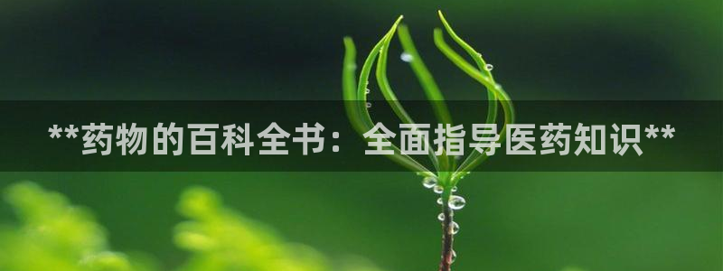 九游会国际站