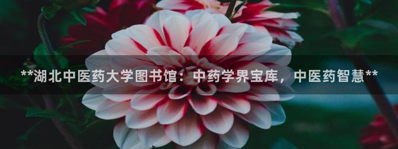 九游会国际厅