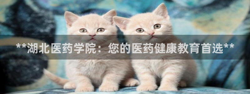 j9九游会登录入口首页新版