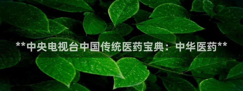 九游会ag真人官网在哪