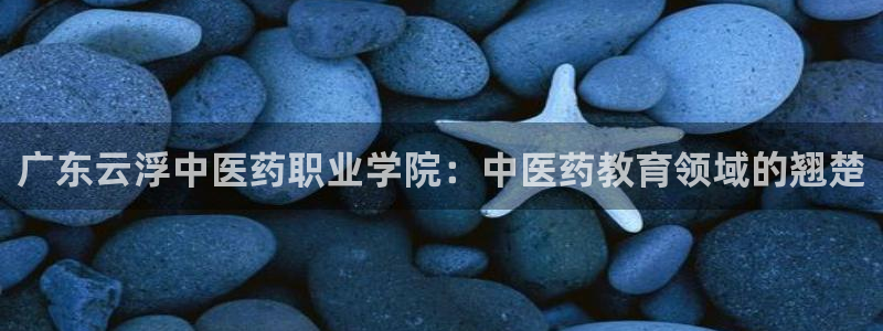 九游会官网进入