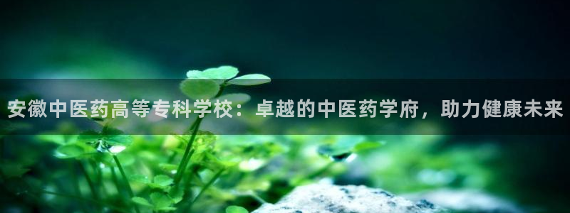 九游j9会 - 真人游戏第一品牌