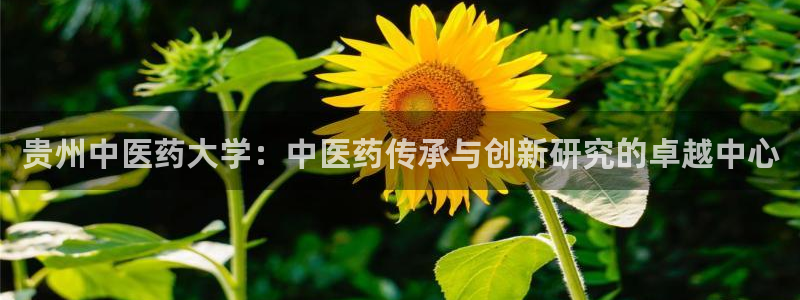 九游j9打不开