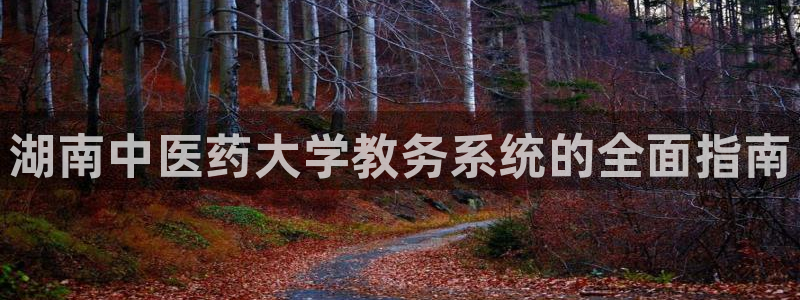 j9九游会不出款