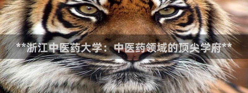 登陆九游会