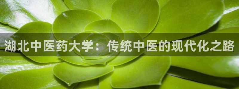 九游会官