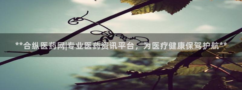 九游会官网ag旧版