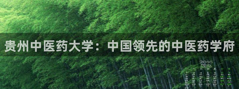 九游会ag官方平台