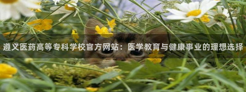 九游会app官方下载