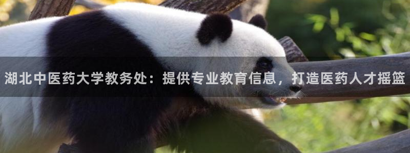 ag九游会官网网址