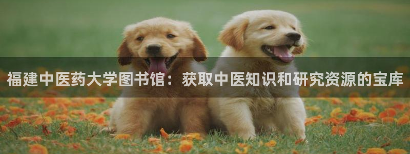 J9九游会登录入口首页旧版