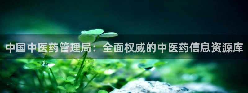 九游会口碑怎么样