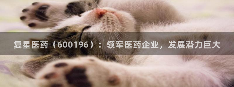 j9九游会合法吗