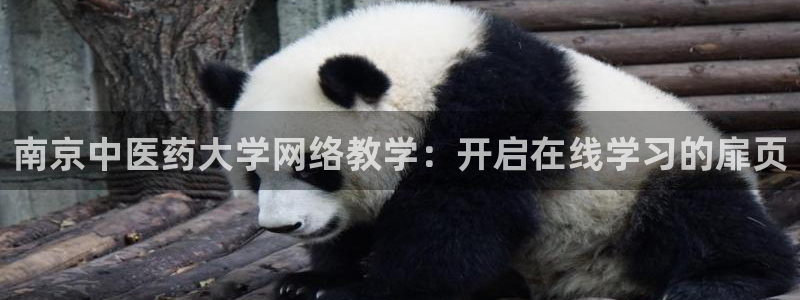九游J9官方网站