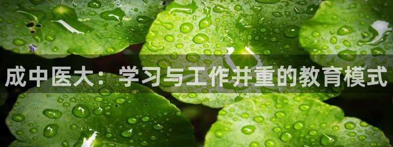 九游会app官方下载安装