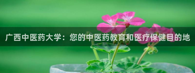 九游会官方选网址是j9.cm