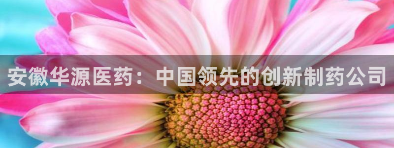 九游会官网进入口