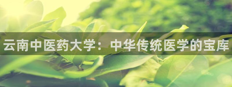 j9九游会会员日