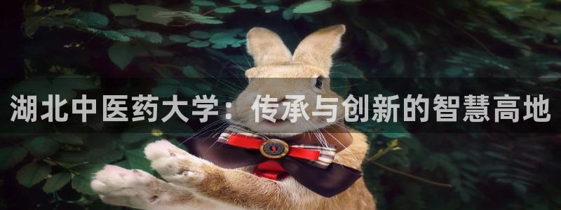 九游会直营