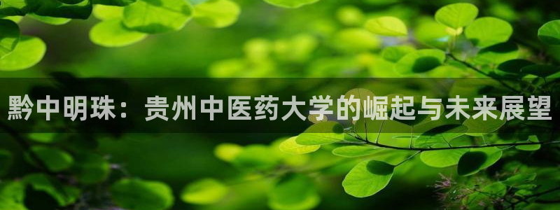 九游会AG登录
