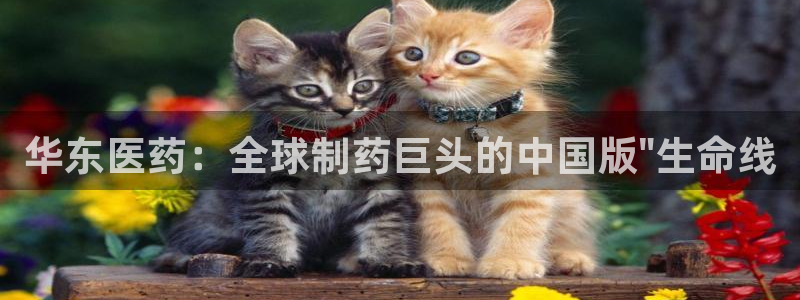 九游会是干嘛的游戏