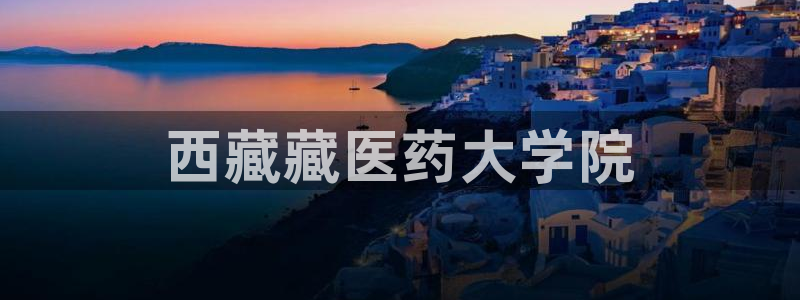 ag改名九游会