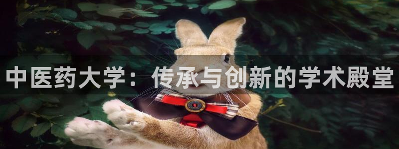 j9九游会官网
