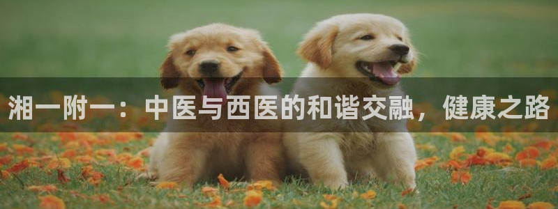 九游会app官方下载安装