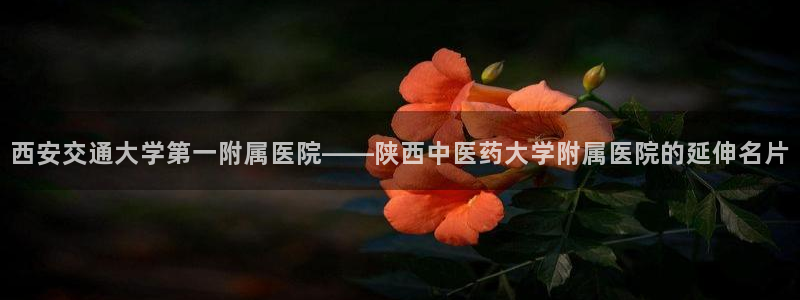 九游会直营