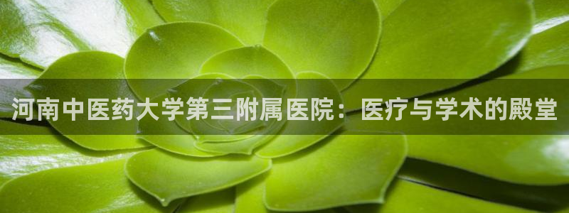 九游会网址大全
